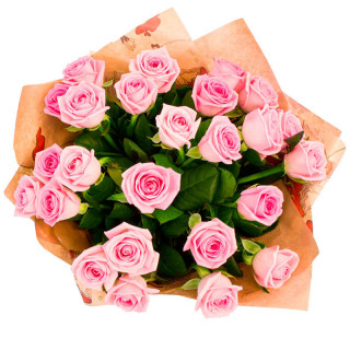 51 rosa rosa