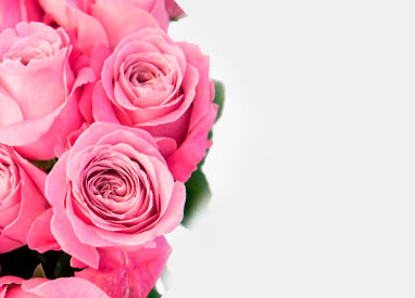 Catalogo delle rose